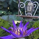 D'hotes Du Clos Bamboo Bed & Breakfast
