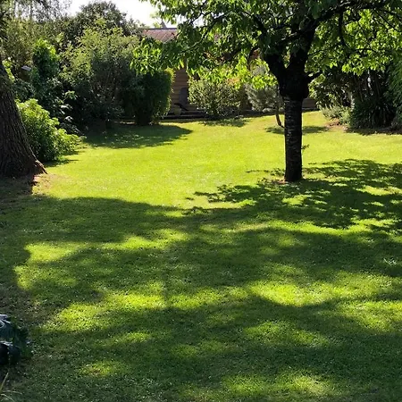 Studio Privatif Du Clos Bamboo Avec Terrasse & Jardin Mérignac