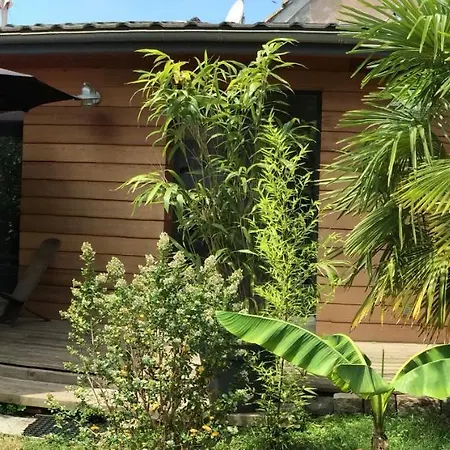 Frühstückspension Studio Privatif Du Clos Bamboo Avec Terrasse & Jardin 3*