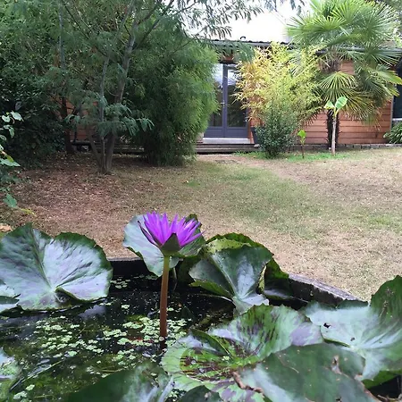 D'hotes Du Clos Bamboo Mérignac