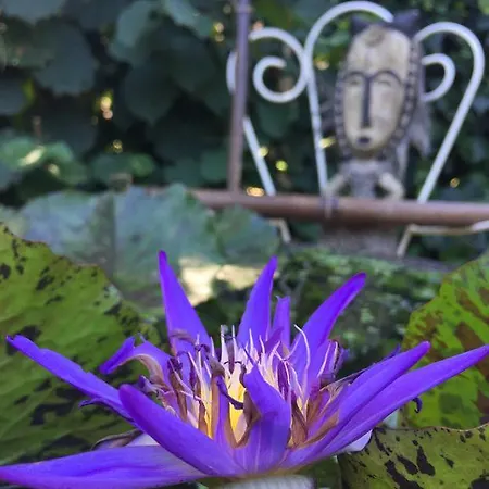 D'hotes Du Clos Bamboo فندق مبيت وإفطار