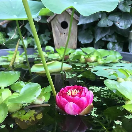 D'hotes Du Clos Bamboo 3*