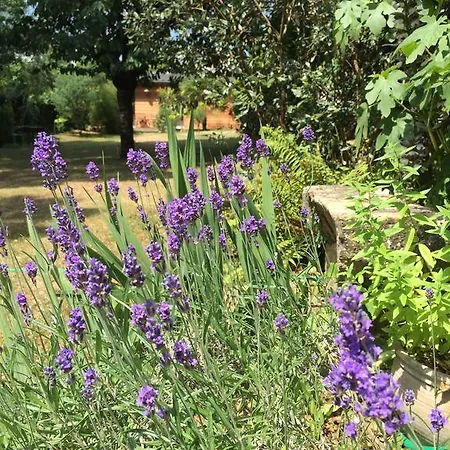 D'hotes Du Clos Bamboo