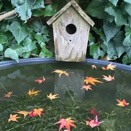 فندق مبيت وإفطار D'hotes Du Clos Bamboo Mérignac