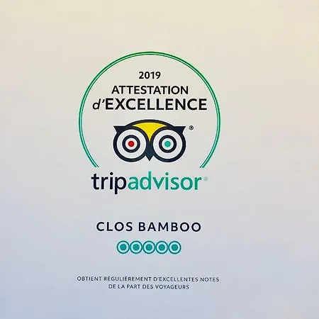 فندق مبيت وإفطار D'hotes Du Clos Bamboo Mérignac