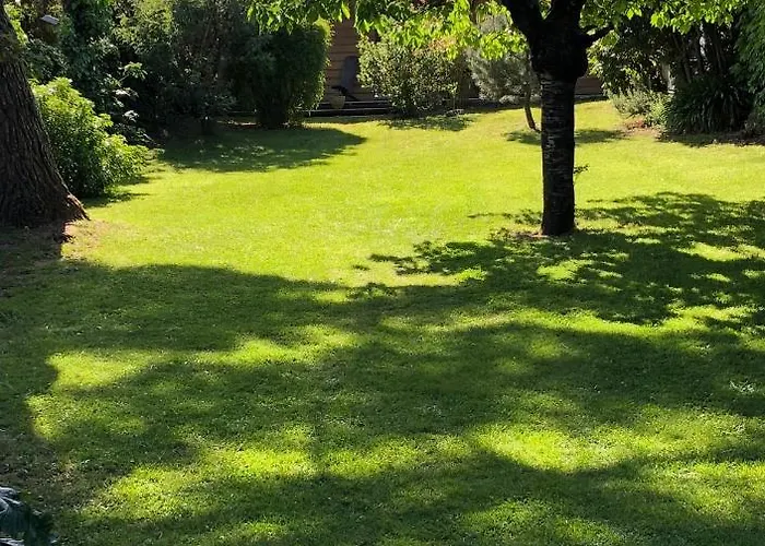D'hotes Du Clos Bamboo Mérignac