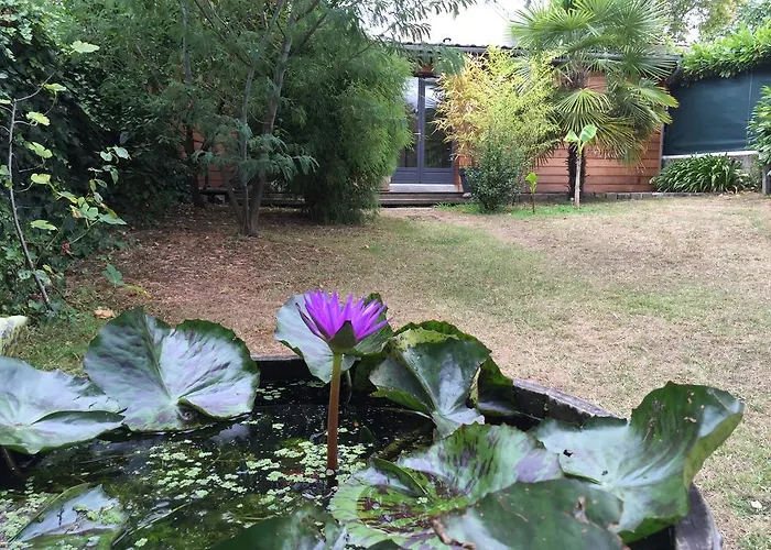 D'hotes Du Clos Bamboo Mérignac