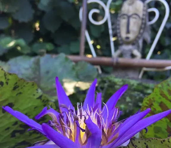 D'hotes Du Clos Bamboo Bed and Breakfast