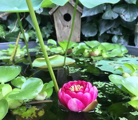 D'hotes Du Clos Bamboo 3*