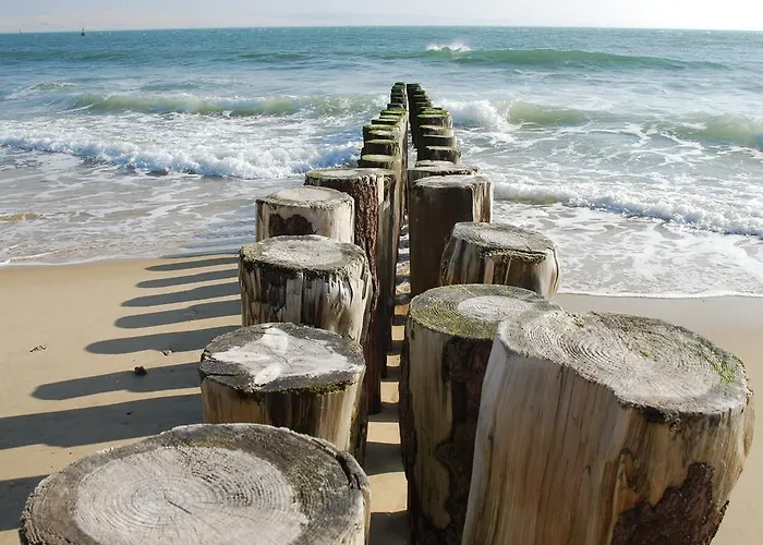 Bed and Breakfast D'hotes Du Clos Bamboo