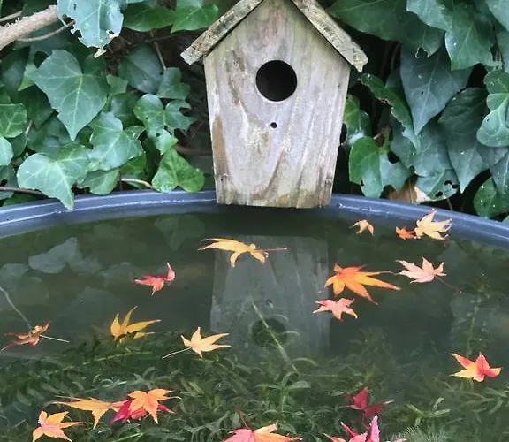 Bed & Breakfast D'hotes Du Clos Bamboo Mérignac